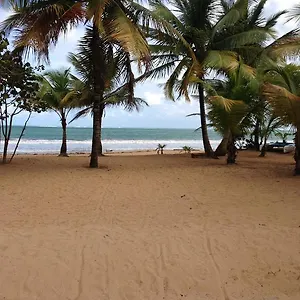  Apartment Beach Front Rio Mar Puerto Rico